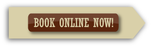 Official Online Booking Button for Meadowbrook Resort & Dells Packages in Wisconsin Dells